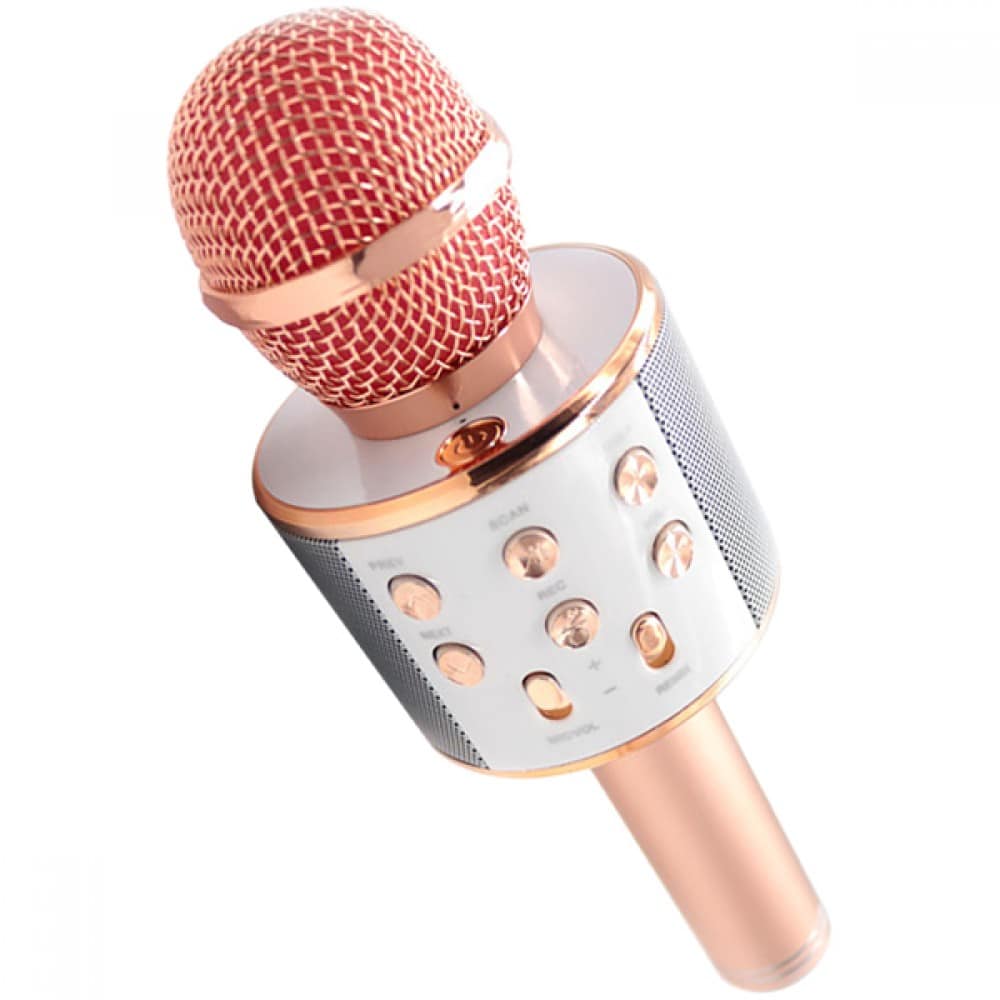 Kablosuz Karaoke Mikrofon Bluetooth Sd Aux Fm Pl-2463