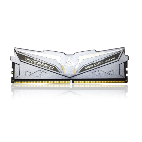 ARKTEK AKD5S16P5200H, THUNDERBIRD, 16GB, DDR5, 5200Mhz, 1.35V, CL40, XMP 3.0, Desktop, Soğutuculu, GAMING RAM