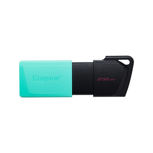 KINGSTON DTXM/256GB USB 3.2 DataTraveler Exodia Flash Bellek (Siyah-Yeşil)