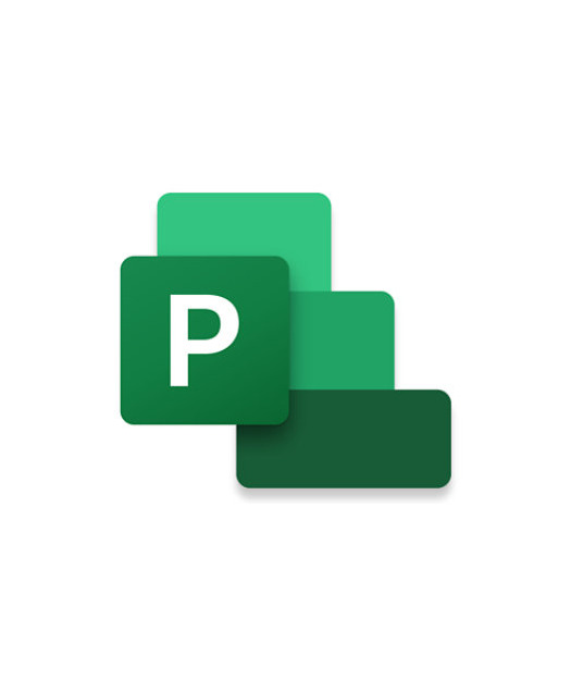 Microsoft Project Standart 2024 - ESD