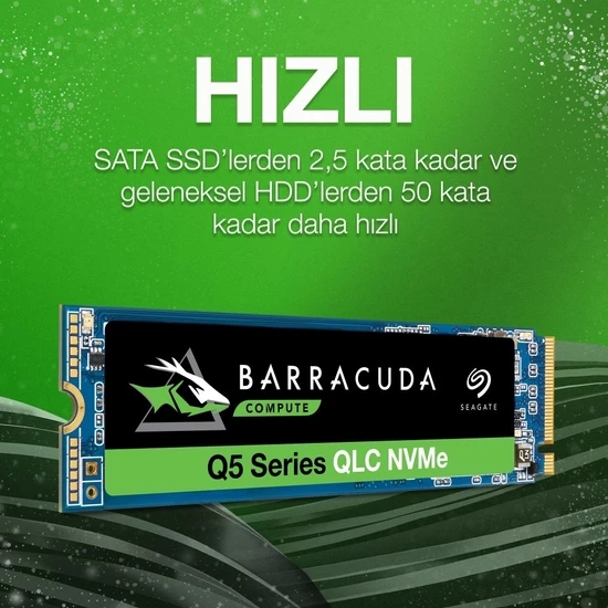 Seagate Q5 500GB 2400MB-1800MBS NVMe SSD (ZZ500CV3A001)
