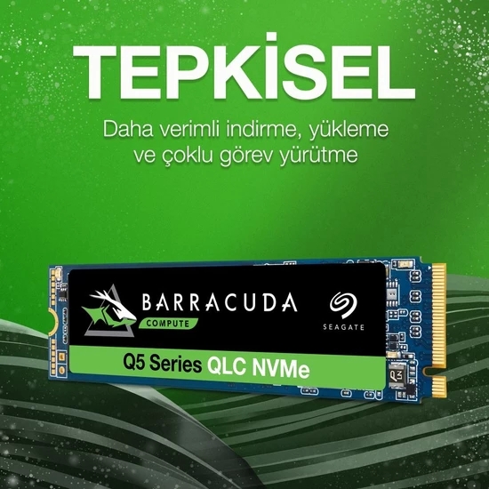 Seagate Q5 500GB 2400MB-1800MBS NVMe SSD (ZZ500CV3A001)