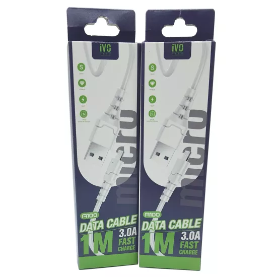 3A 1 Metre (Micro) Hızlı Kablo Aspor A100