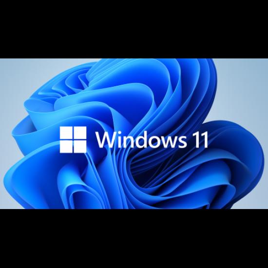 Microsoft Windows 11 Pro FQC-10556 64 Bit (OEM) Türkçe