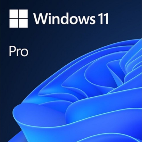 Microsoft Windows 11 Pro 32/64 Bit TR-ING ESD Elektronik Lisans (FQC-10572)