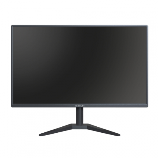 RAYDIN R215TNB 21,5’’ 5ms, 75Hz, Full HD, D-Sub, HDMI, TN LED Monitör (Siyah)